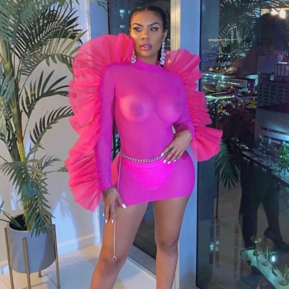 Fordam Rowe Pink/ sheer Dress with Ruffle sleeves